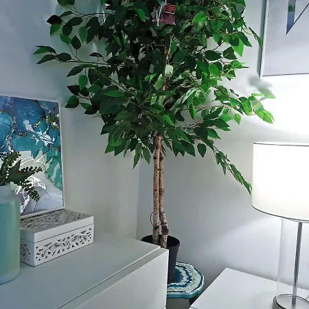 Apartment Turquesa :) Parking And Wifi *